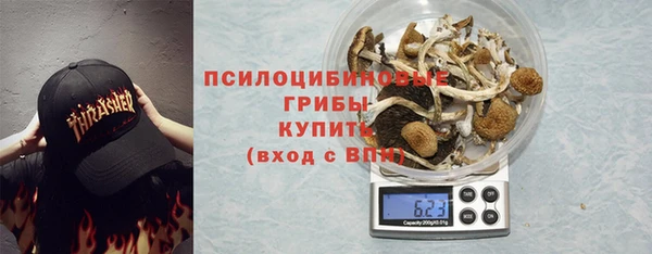 ПСИЛОЦИБИНОВЫЕ ГРИБЫ Горно-Алтайск
