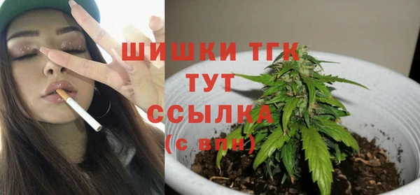 ПСИЛОЦИБИНОВЫЕ ГРИБЫ Горно-Алтайск