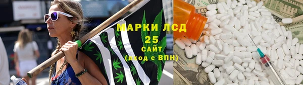 ПСИЛОЦИБИНОВЫЕ ГРИБЫ Горно-Алтайск