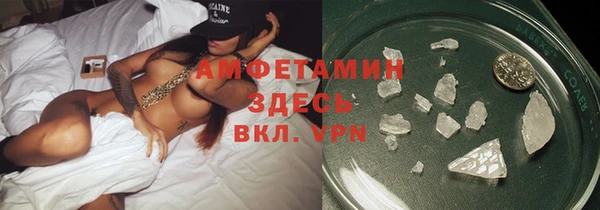 ПСИЛОЦИБИНОВЫЕ ГРИБЫ Горно-Алтайск