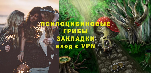 ПСИЛОЦИБИНОВЫЕ ГРИБЫ Горно-Алтайск