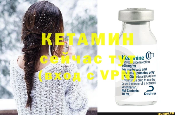 ПСИЛОЦИБИНОВЫЕ ГРИБЫ Горно-Алтайск