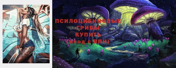 mdma Горнозаводск